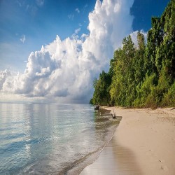 Andaman Island Tour 4N/5D ( 3N Port Blair, 1N Havelock )